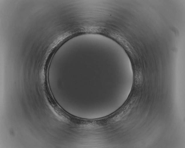 X0000112000674200908311115