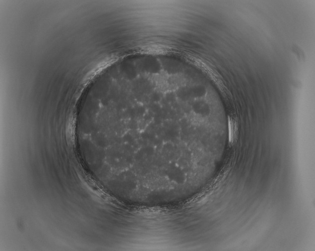 X0000112000675200908311115