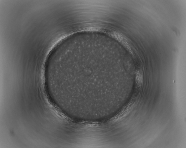 X0000112000676200908311115