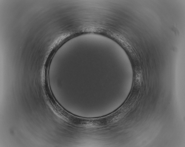 X0000112000678200908311115