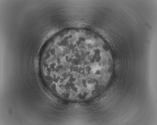 X0000112000679200908311115