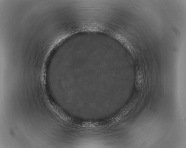 X0000112000680200908311115