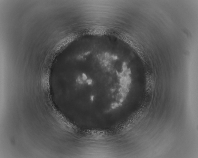 X0000112000681200908311115