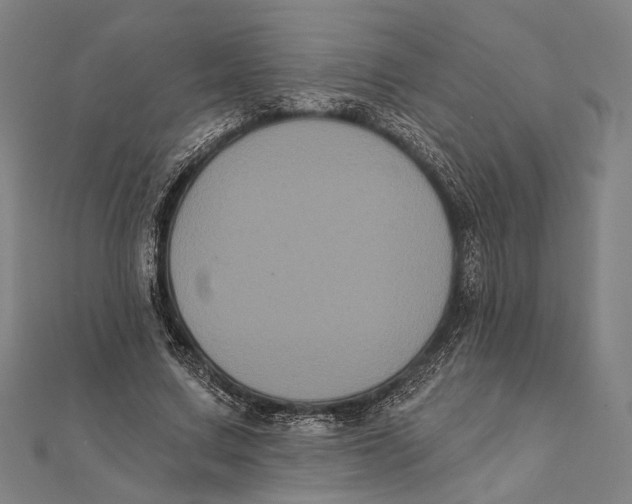 X0000112000683200908311115