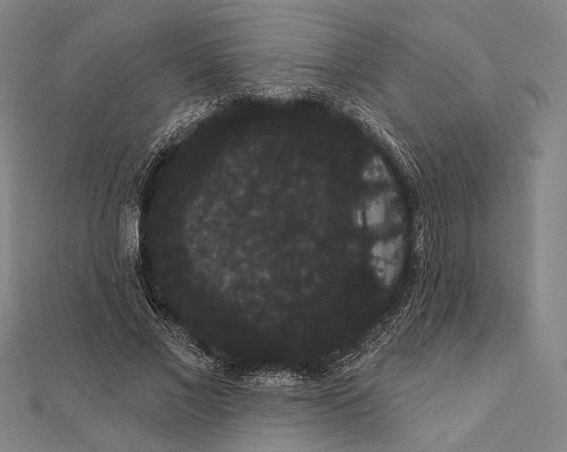 X0000112000685200908311115