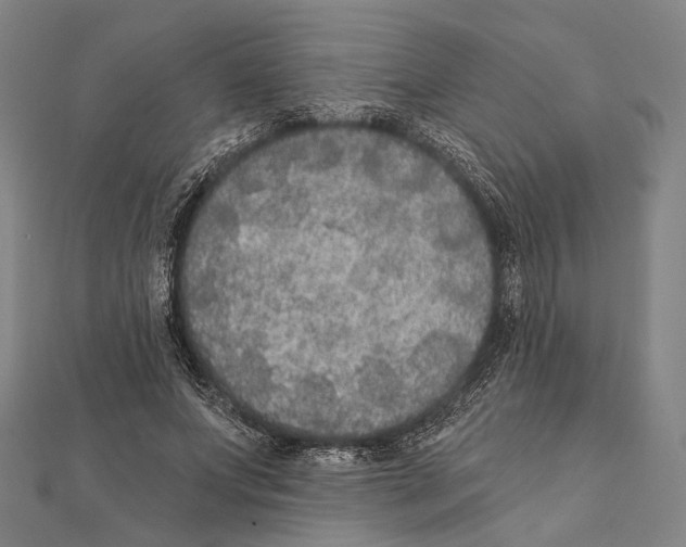 X0000112000687200908311114