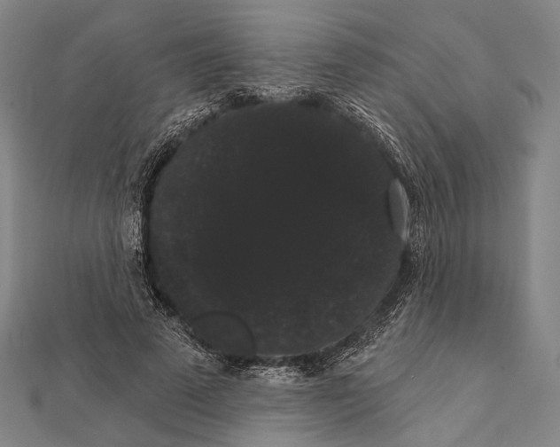 X0000112000689200908311114