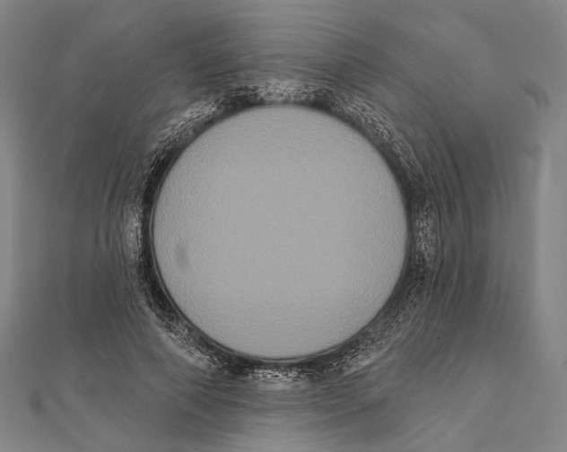 X0000112000690200908311114