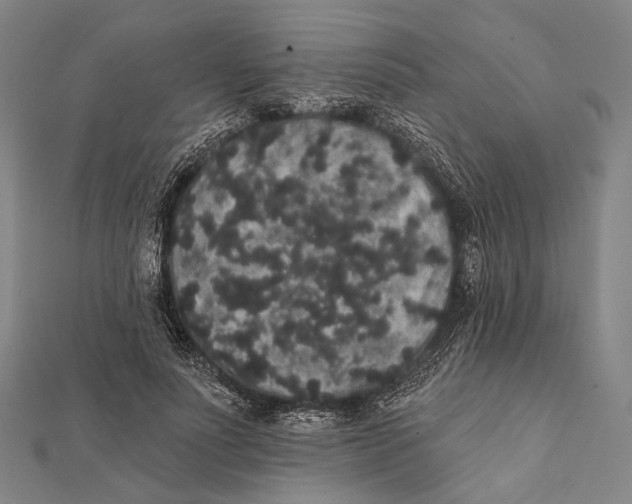 X0000112000691200908311114