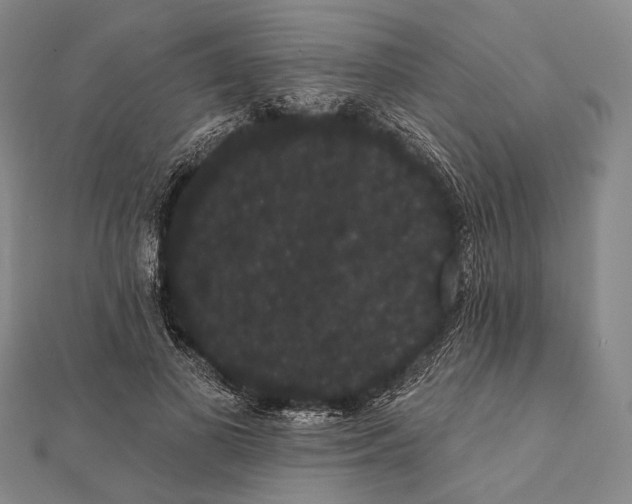 X0000112000693200908311114