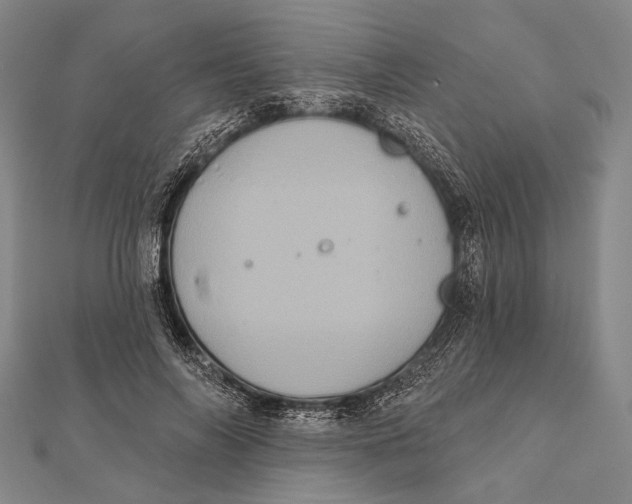 X0000112000694200908311114