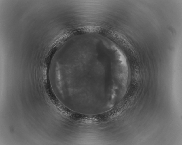 X0000112000696200908311114