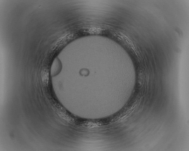 X0000112000697200908311114