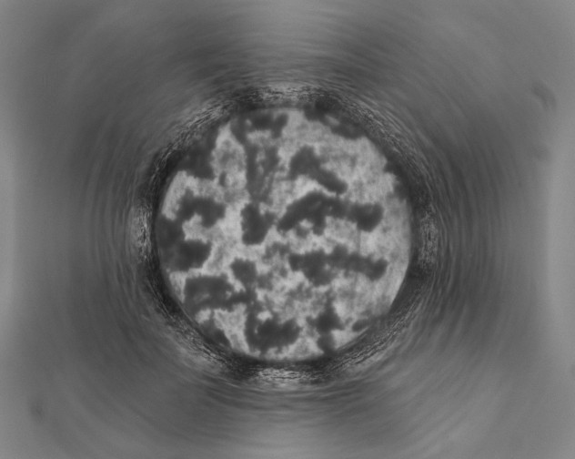 X0000112000699200908311114