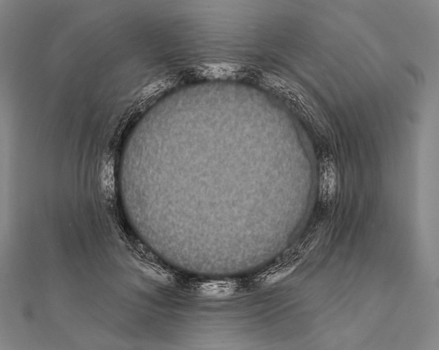 X0000112000700200908311114