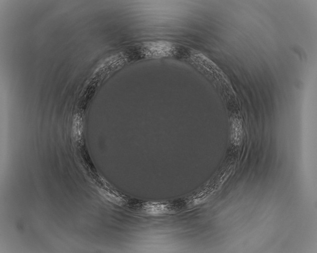 X0000112000701200908311114