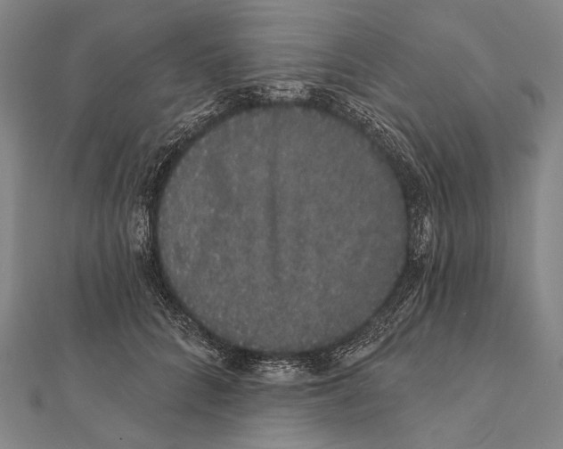 X0000112000704200908311114