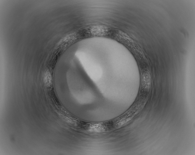 X0000112000705200908311114