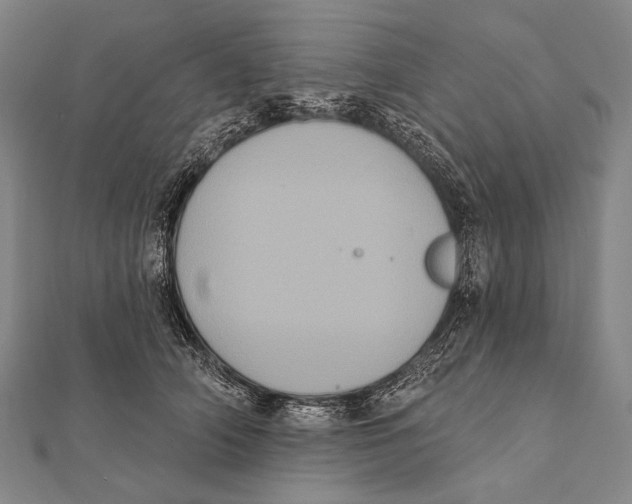 X0000112000706200908311114