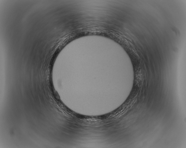 X0000112000708200908311114