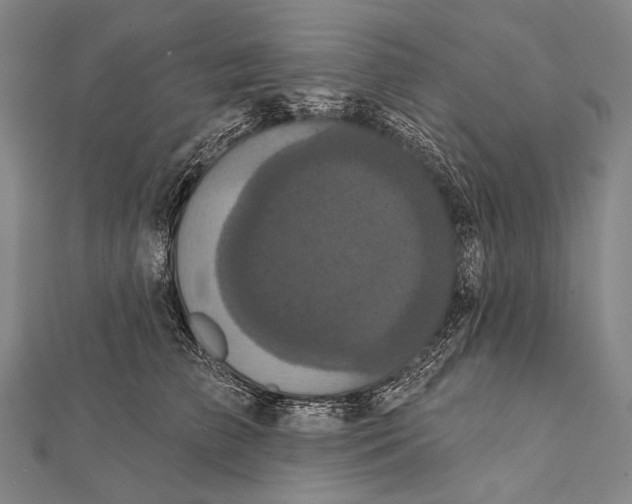 X0000112000709200908311114