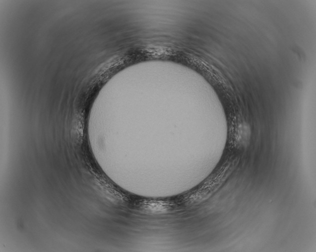 X0000112000710200908311114