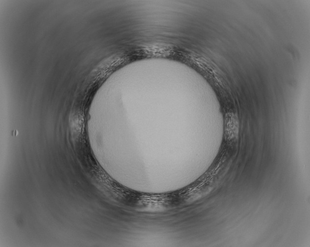 X0000112000713200908311114