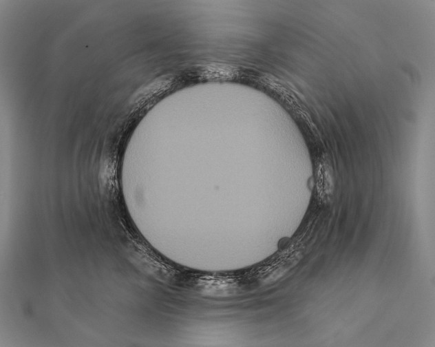 X0000112000714200908311114