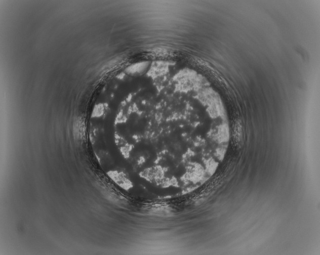 X0000112000715200908311114