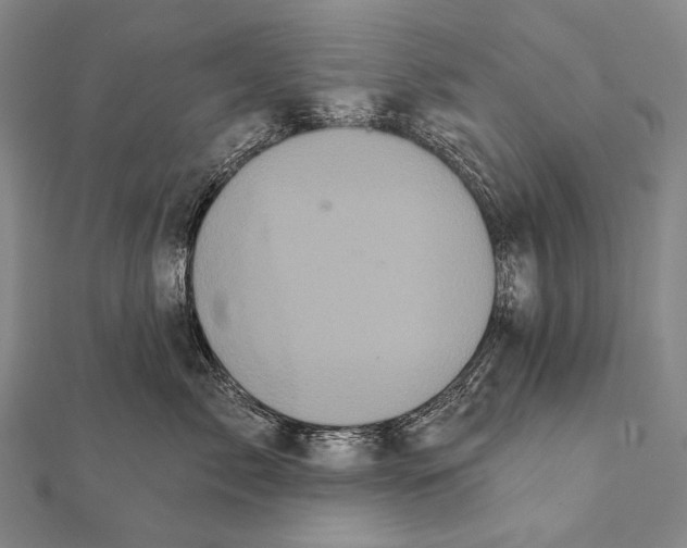 X0000112000717200908311114