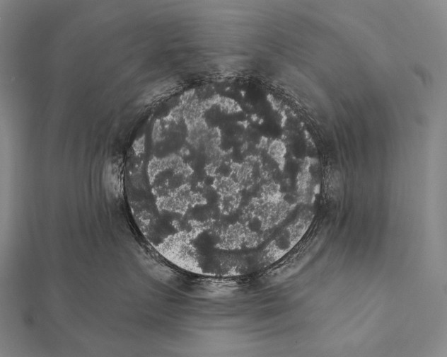 X0000112000719200908311114