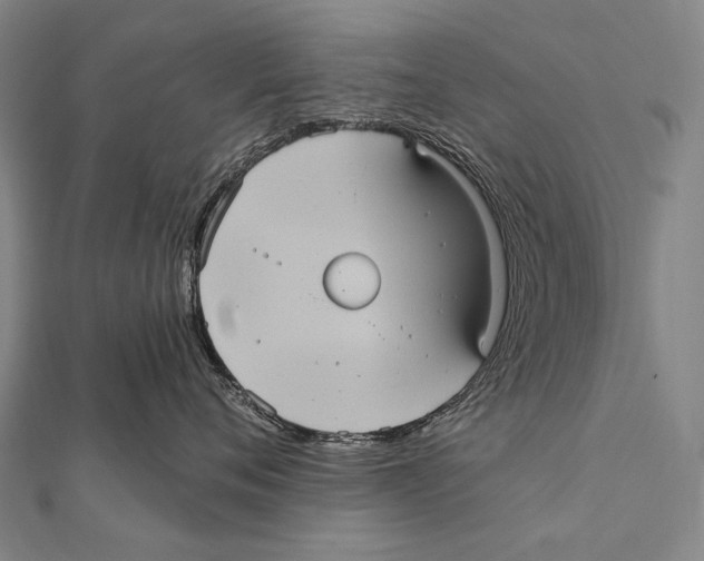 X0000112000720200908311114