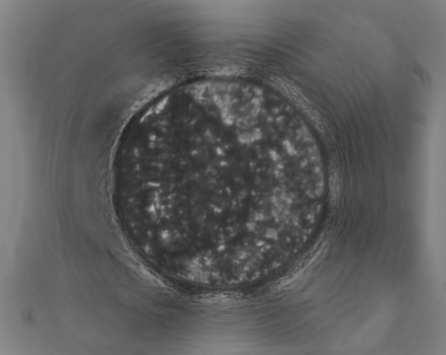 X0000112000721200908311113