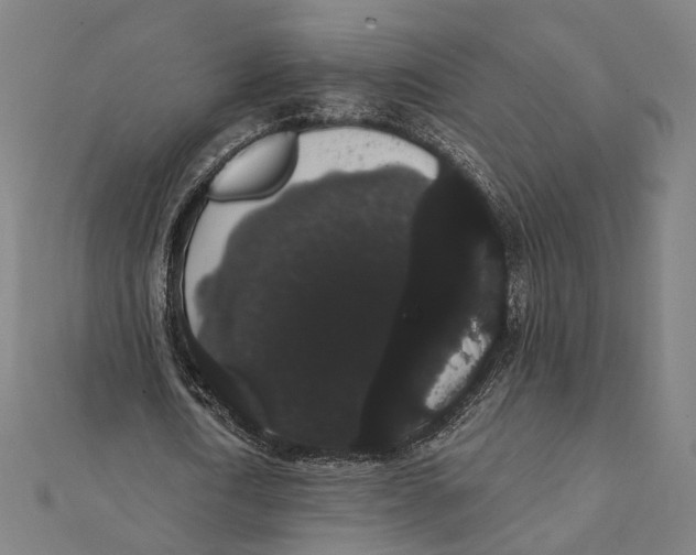 X0000112000722200908311113