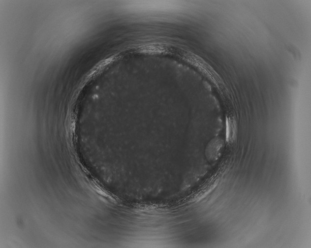 X0000112000723200908311113