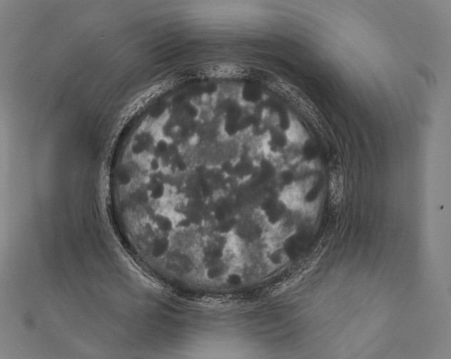 X0000112000725200908311113