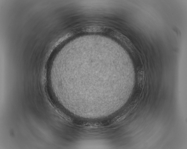 X0000112000727200908311113