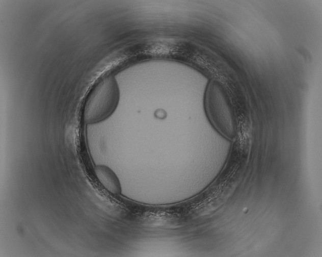 X0000112000728200908311113