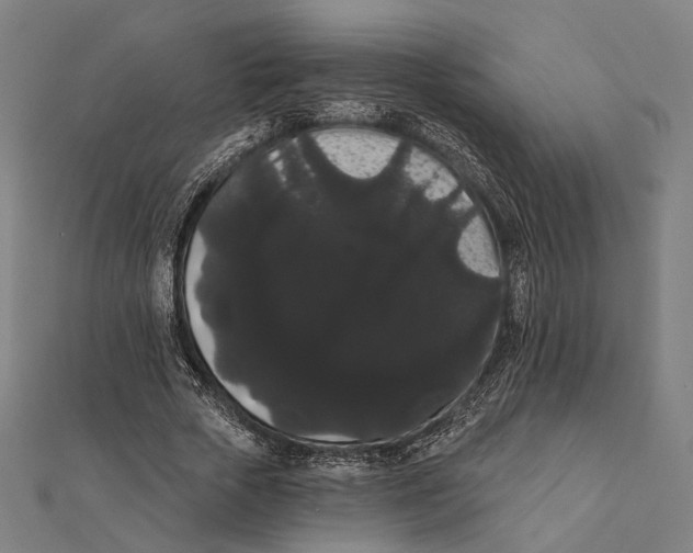 X0000112000729200908311113