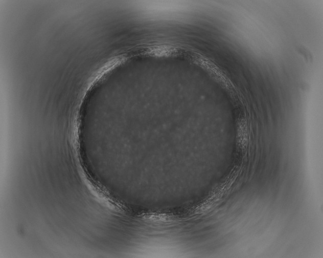 X0000112000730200908311113