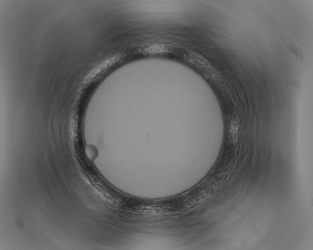 X0000112000732200908311113