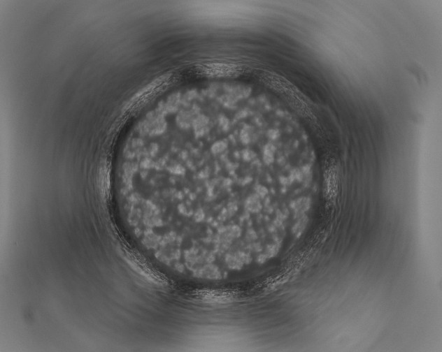 X0000112000733200908311113