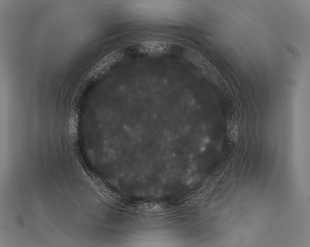 X0000112000735200908311113