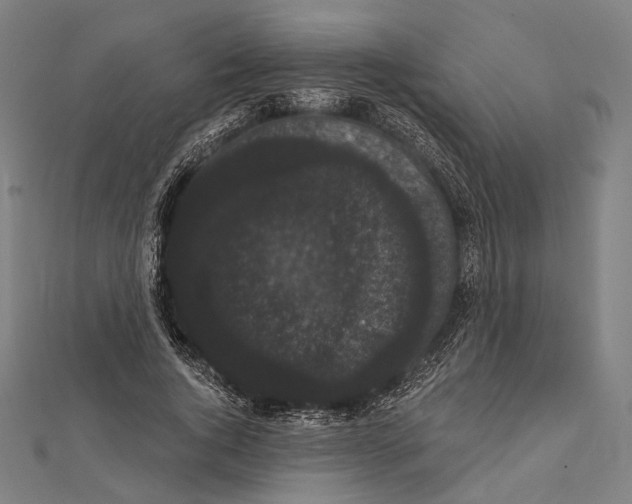 X0000112000736200908311114