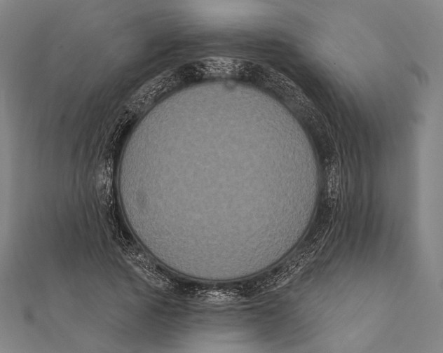 X0000112000737200908311114