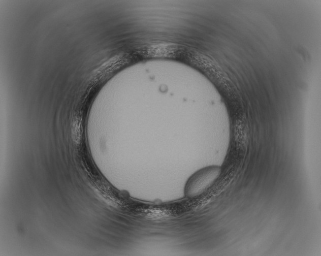 X0000112000741200908311114