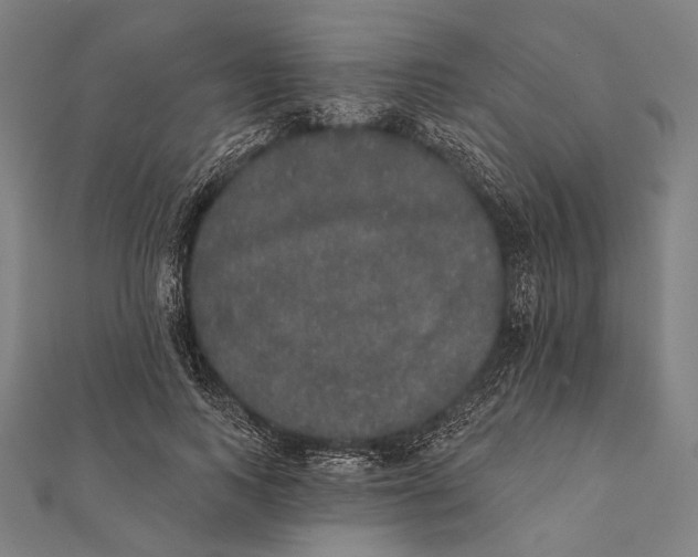 X0000112000743200908311114