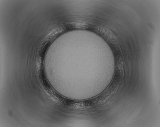 X0000112000744200908311114