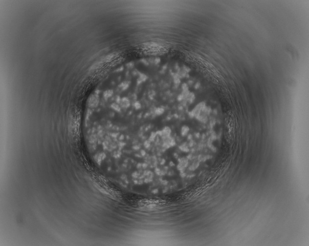 X0000112000745200908311114