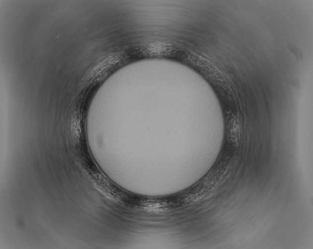 X0000112000746200908311114